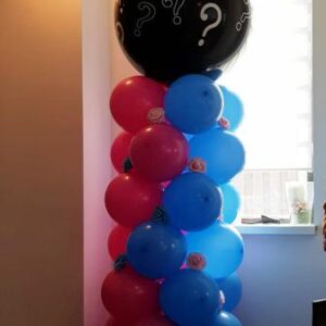 gender reveal topballon zwart